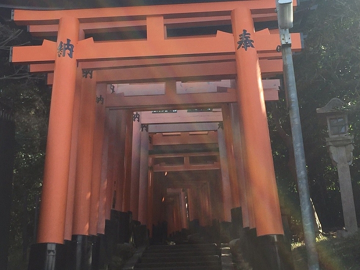 【京都】日本觀光景點NO1，鳥居不止一千本！伏見稲荷大社！