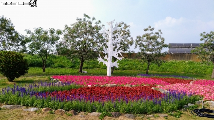 蘭花展 台南市後壁區烏樹林 03/13