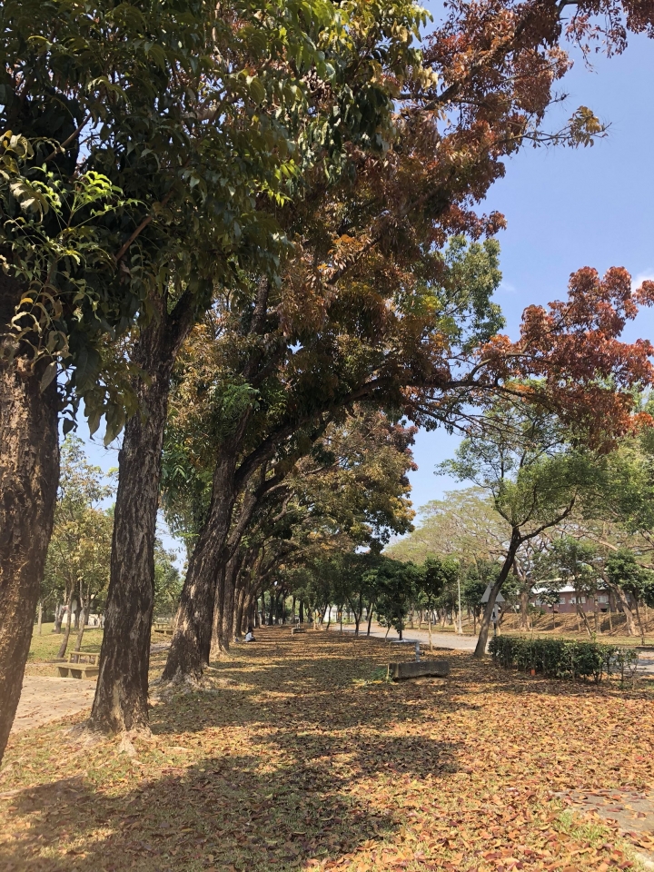 3/11kcp單車倉庫屏科大映霞靜思行