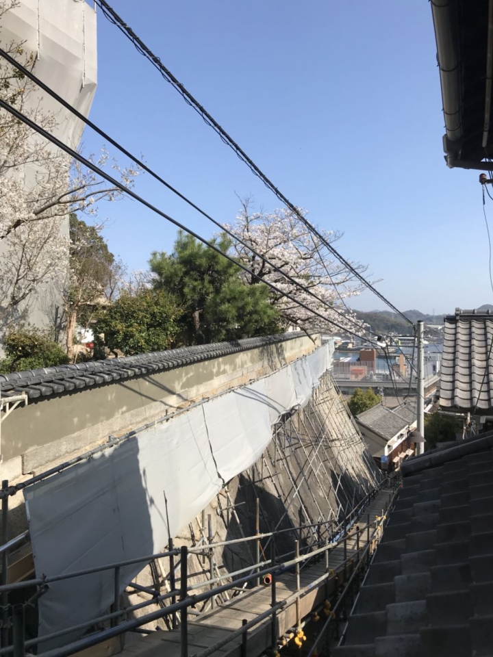 我的日本自由行第三天(尾道櫻花🌸行）