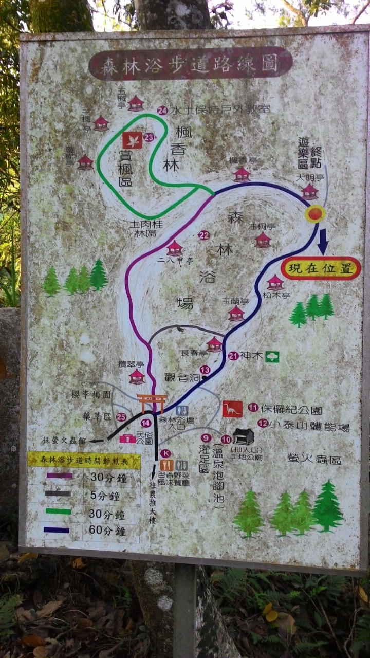 櫻花之旅-東勢林場+泰安派出所