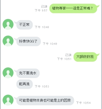 請教，我的抹草怎麼了?
