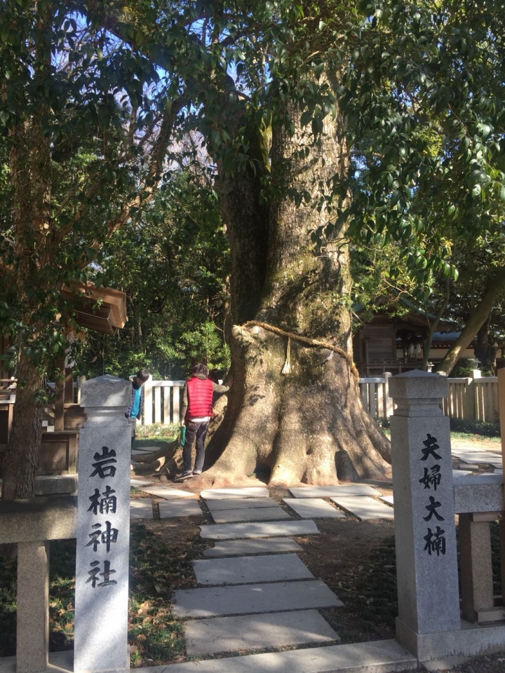 《日本遊記》兩天一夜淡路島自駕睡車上之旅-Day1