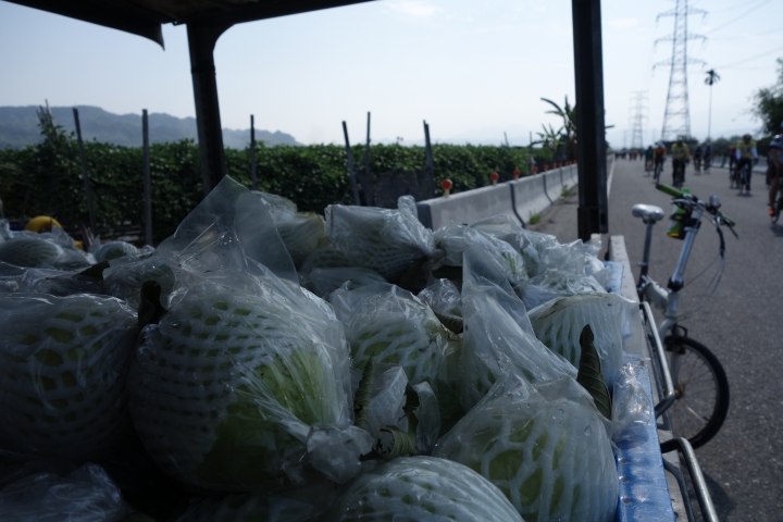 2018年，春，彰化環化賽小旅行，