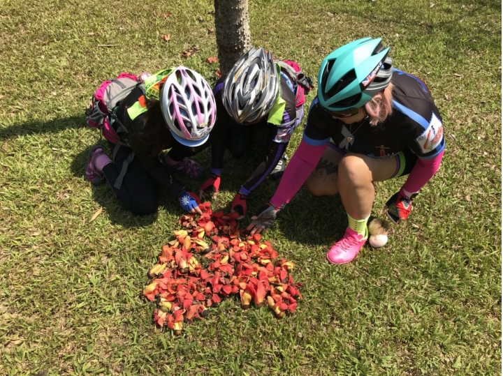 3/11kcp單車倉庫屏科大映霞靜思行