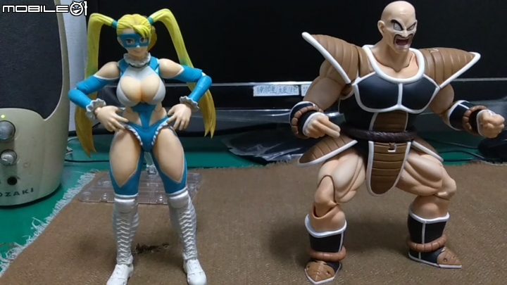 shf 拿帕分享