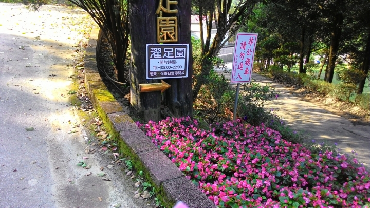 櫻花之旅-東勢林場+泰安派出所