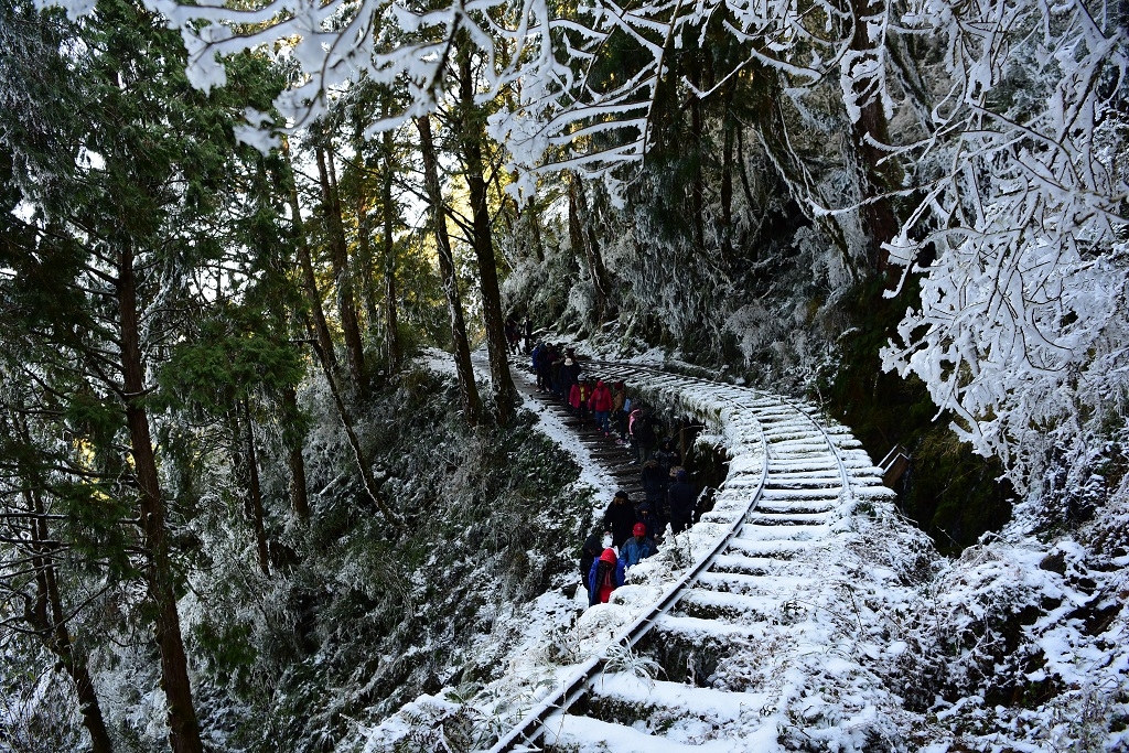 X-Trail 上雪季的合歡山