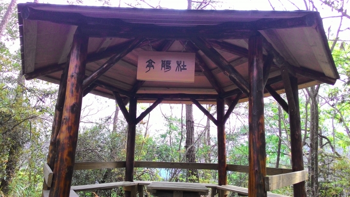 尋櫻之旅-惠蓀林場