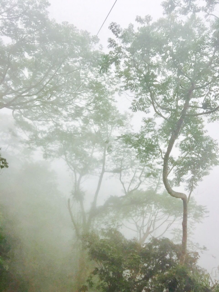 雪的單車遊記～虐人之嘉130公田彌陀禪寺