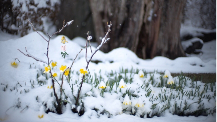 新玩具Leica Noctilux 0.95 50mm