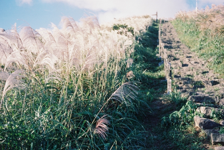 [亂開箱] Rollei 35 T 估焦相機 (Tessar 40mm F3.5)