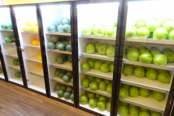 【親子景點】高雄大魯閣草衙道內遊戲愛樂園好大好好玩啊