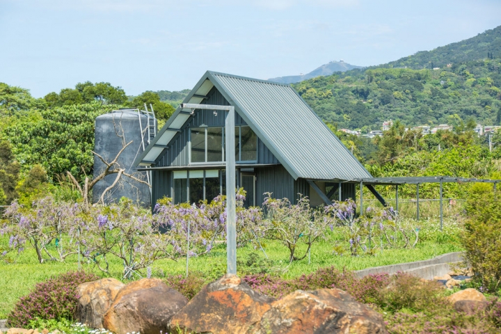 2018 台灣的紫藤花海 紫藤咖啡園(二店)水源園區 最新花況分享
