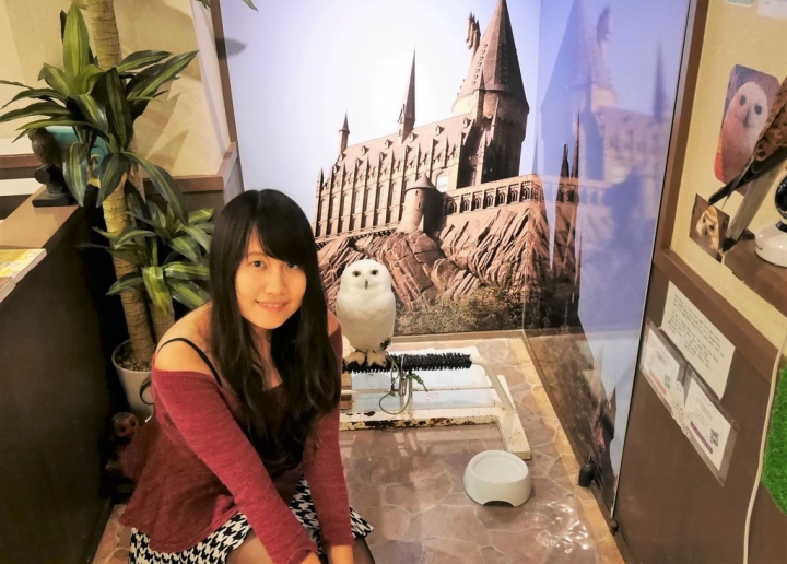 【日本奈良 | 咖啡廳】療癒滿點的貓頭鷹咖啡廳☀Wata Wata Owl Cafe