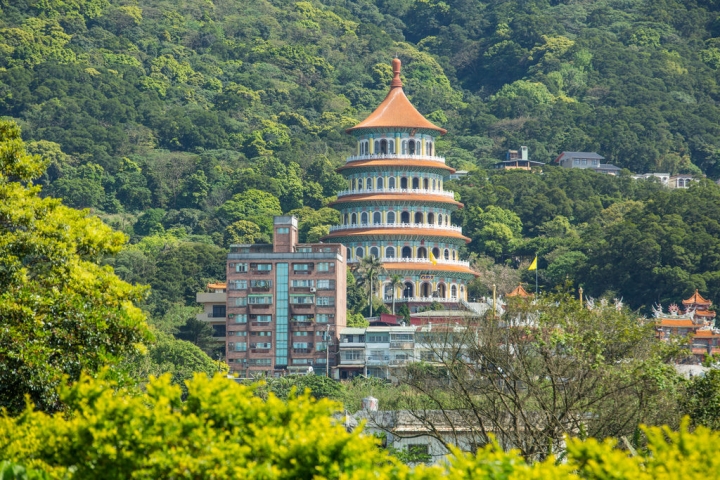 2018 台灣的紫藤花海 紫藤咖啡園(二店)水源園區 最新花況分享