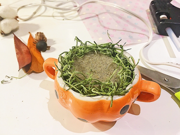 【手作體驗】台北。士林/芝山/天母。小夢境＊乾燥花/永生花＊手作體驗 //初訪//二訪//