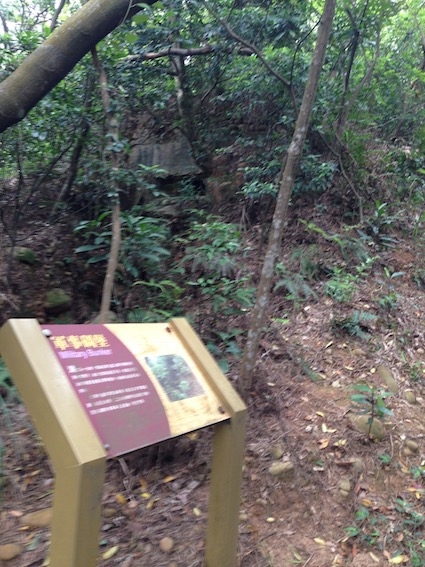 【健行】 仁和步道 金獅步道