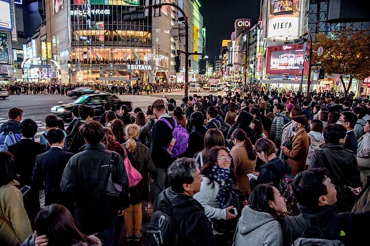 [D750] 2017/11.東京明治神宮外苑銀杏祭、澀谷車站外十字路口夜景