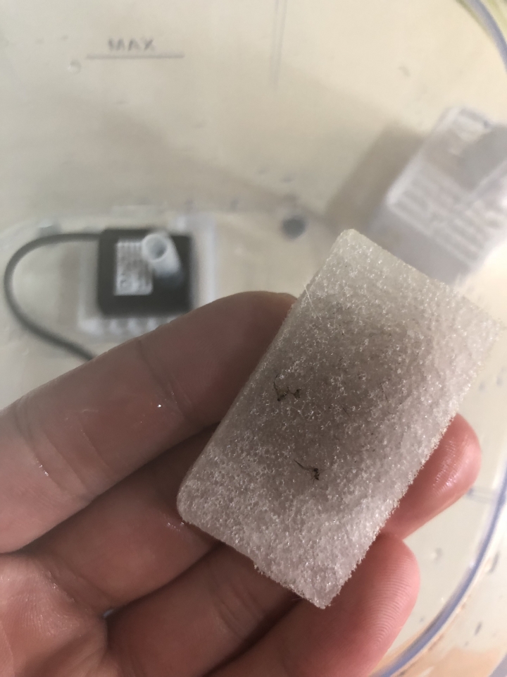 Petoneer 毛小孩飲水機 就像家裡有一座瀑布