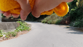 【圖片多,請慢慢欣賞】DxOMark 99高分的三星Galaxy S9+ 超強的拍攝隨身機,沒有之一