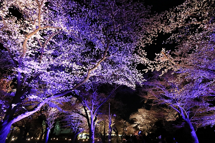(映像旅行) 陌生中熟悉的京都、奈良 feat. Canon EOS M6 & Canon PowerShot G1X Mark III