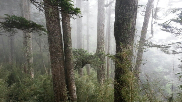 桃山喀拉業單日來回行程記錄(105/6/10)