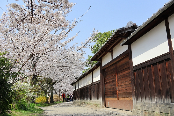 （映像分享）偶而！拋棄重量旅行吧！ feat. Canon PowerShot G1X Mark III~~~圖多字多