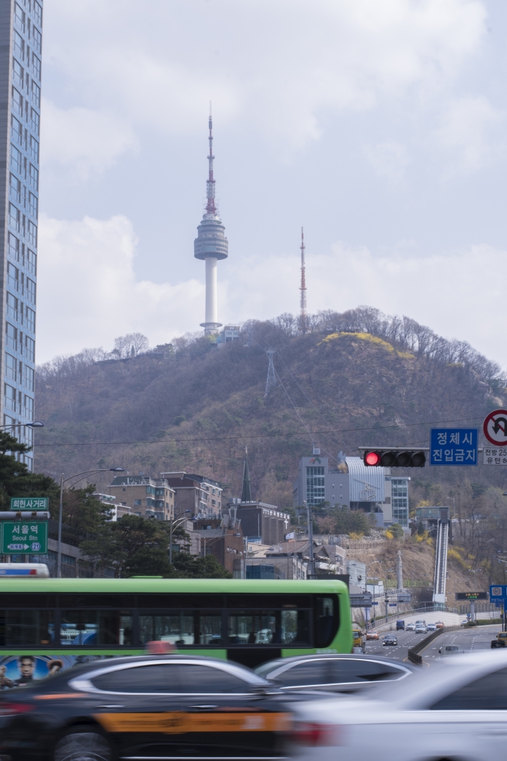 [D750+D500] 四月春櫻_首爾