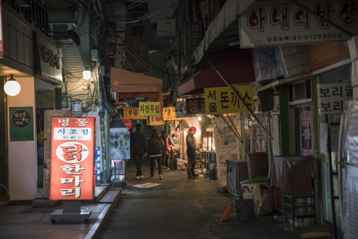 [D750+D500] 四月春櫻_首爾