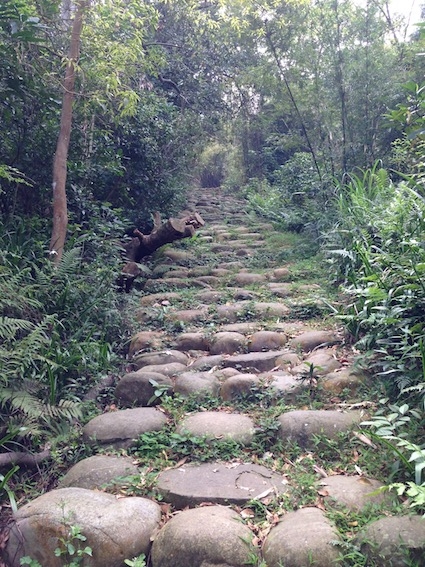 【健行】 仁和步道 金獅步道