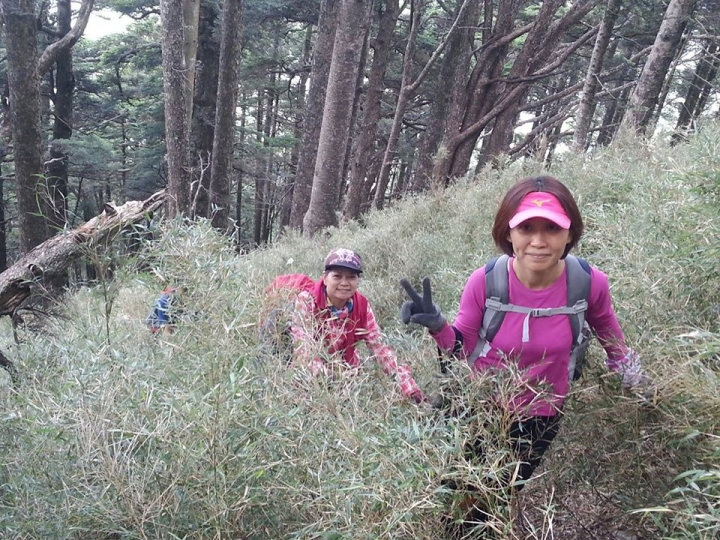屏風山(新路)單日來回行程記錄(105/7/2)