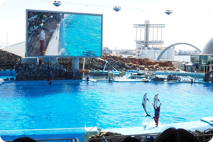 ▋日本名古屋親子自由行 ▋名古屋水族館。有點貴，但又想進去看看的水族館