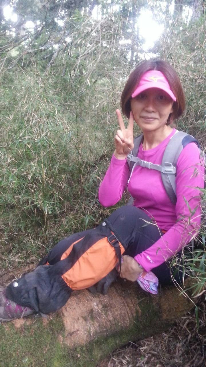 屏風山(新路)單日來回行程記錄(105/7/2)