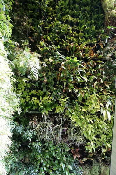 【台中早午餐】木門咖啡Wooden Door。私房料理新上市，超級美味的唷！