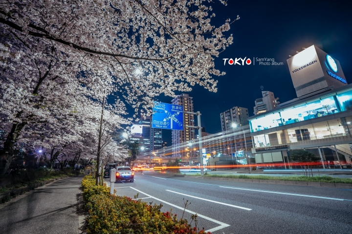 2018東京賞櫻盛宴 x Sony a7II