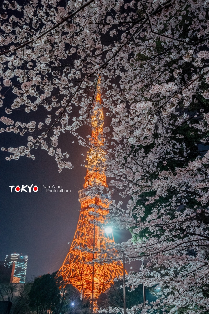 2018東京賞櫻盛宴 x Sony a7II