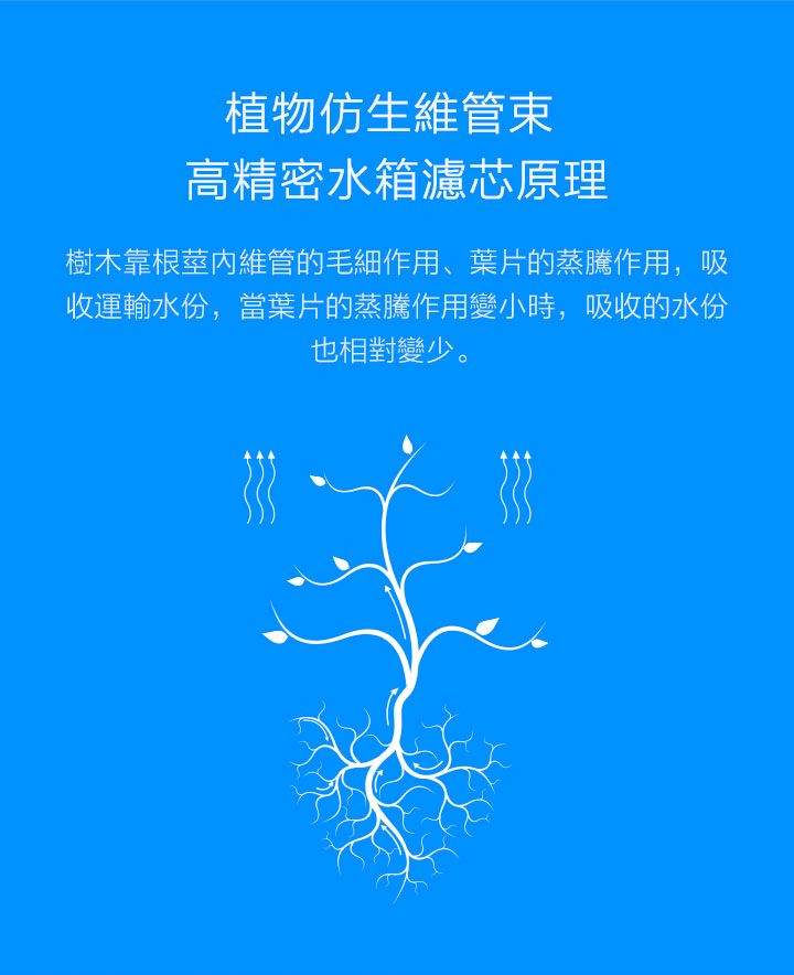 小米 石頭掃地機器人 籌備中！？