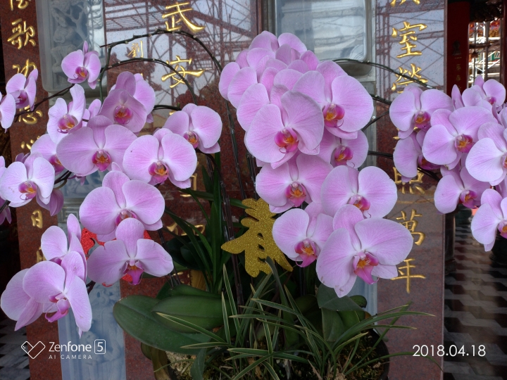 ZenFone 5 ZE620KL 使用幾天不專業的心得分享
