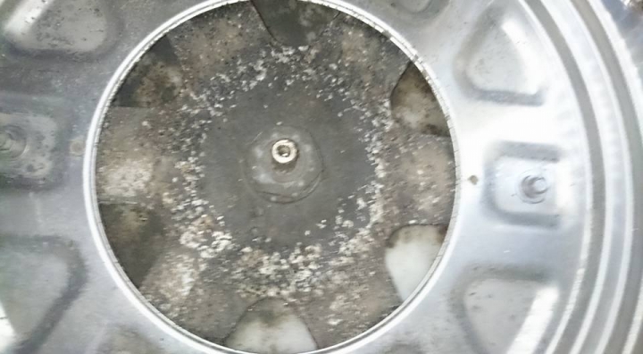 DIY清洗東元W1589XN洗衣機