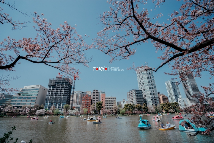 2018東京賞櫻盛宴 x Sony a7II