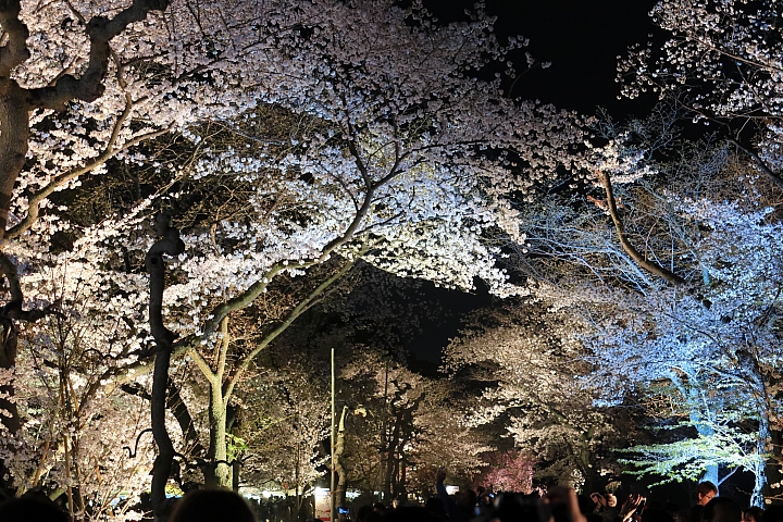 （映像分享）偶而！拋棄重量旅行吧！ feat. Canon PowerShot G1X Mark III~~~圖多字多