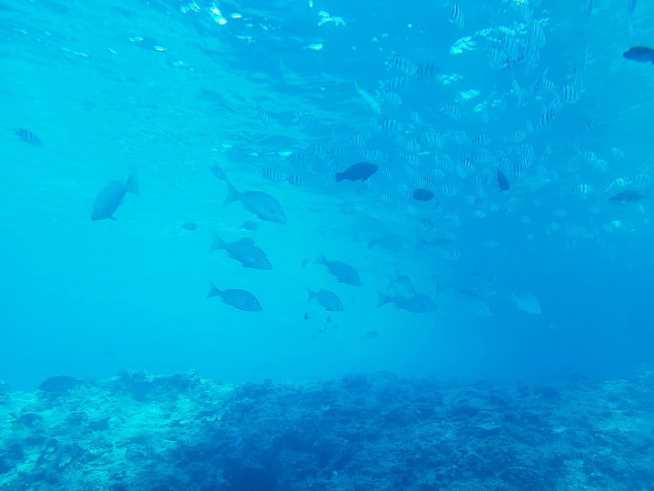 帶著Galaxy S9+ 旅遊及大量拍攝的體驗心得，文長，內含豐富多樣的照片(逆光、低光源、等等)、超慢動作及4K錄影影片