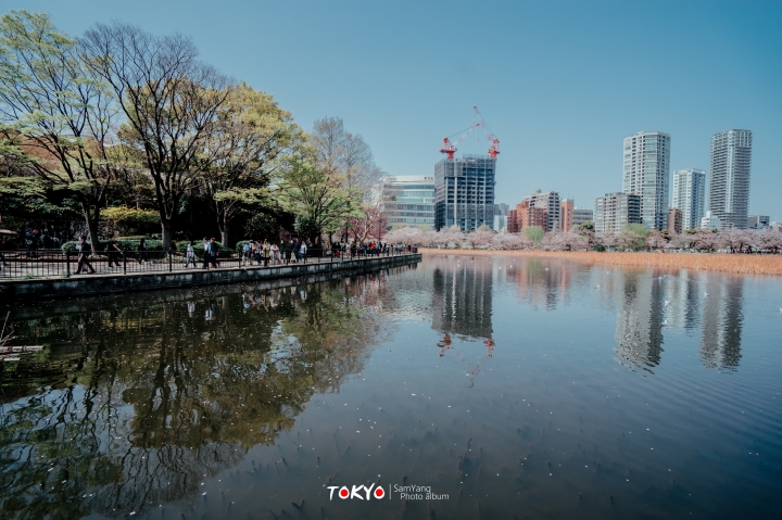 2018東京賞櫻盛宴 x Sony a7II