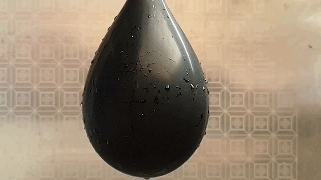 【圖片多,請慢慢欣賞】DxOMark 99高分的三星Galaxy S9+ 超強的拍攝隨身機,沒有之一