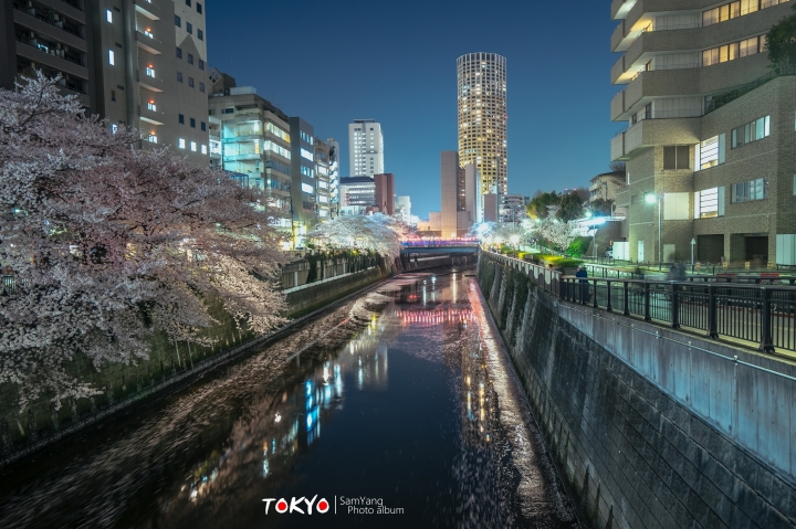 2018東京賞櫻盛宴 x Sony a7II