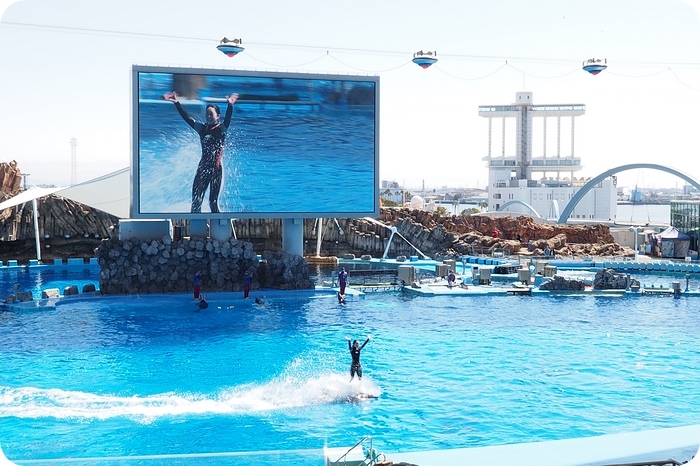 ▋日本名古屋親子自由行 ▋名古屋水族館。有點貴，但又想進去看看的水族館