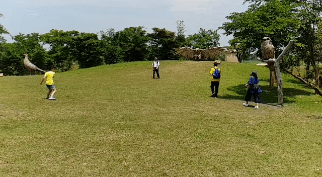 帶著Galaxy S9+ 旅遊及大量拍攝的體驗心得，文長，內含豐富多樣的照片(逆光、低光源、等等)、超慢動作及4K錄影影片