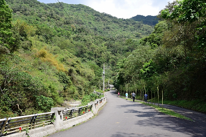 2018年的涼山油桐花正盛開