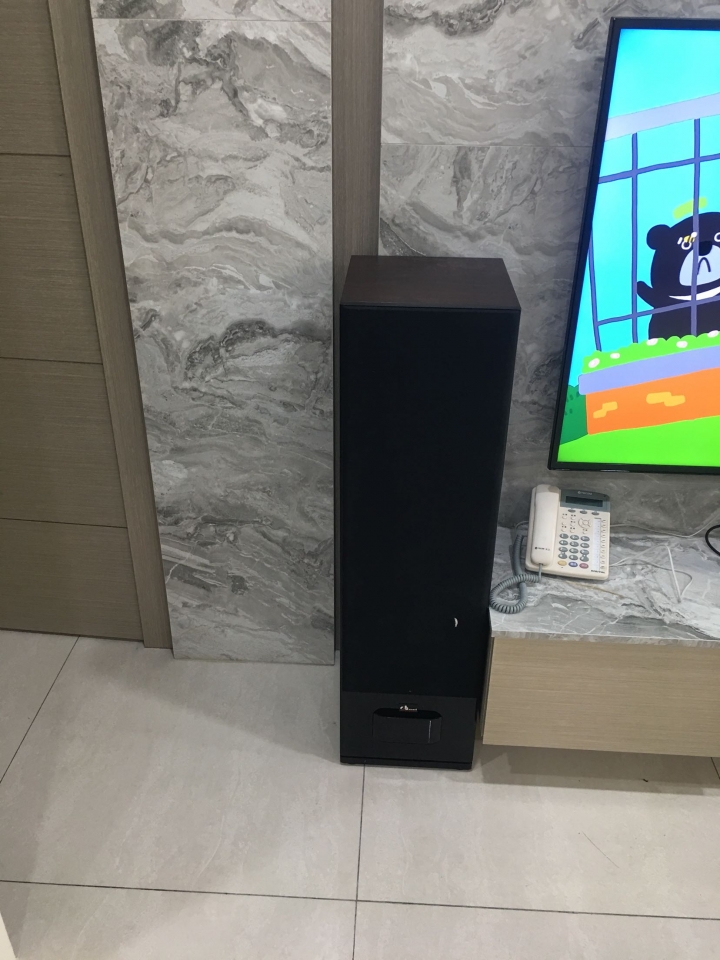 這是什麼喇叭？